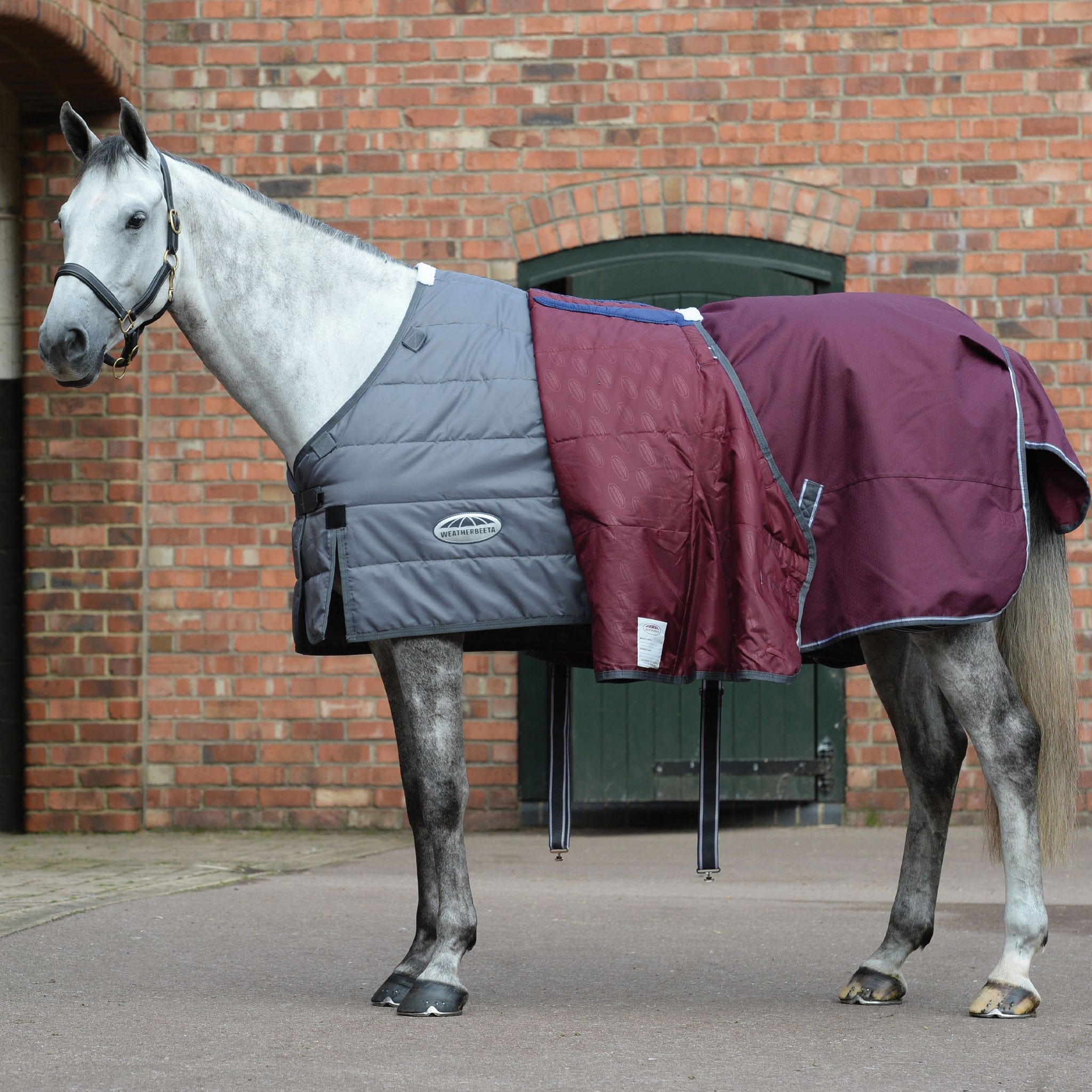 Weatherbeeta ComFiTec Plus Dynamic II 220g Detachable Neck Turnout Rug