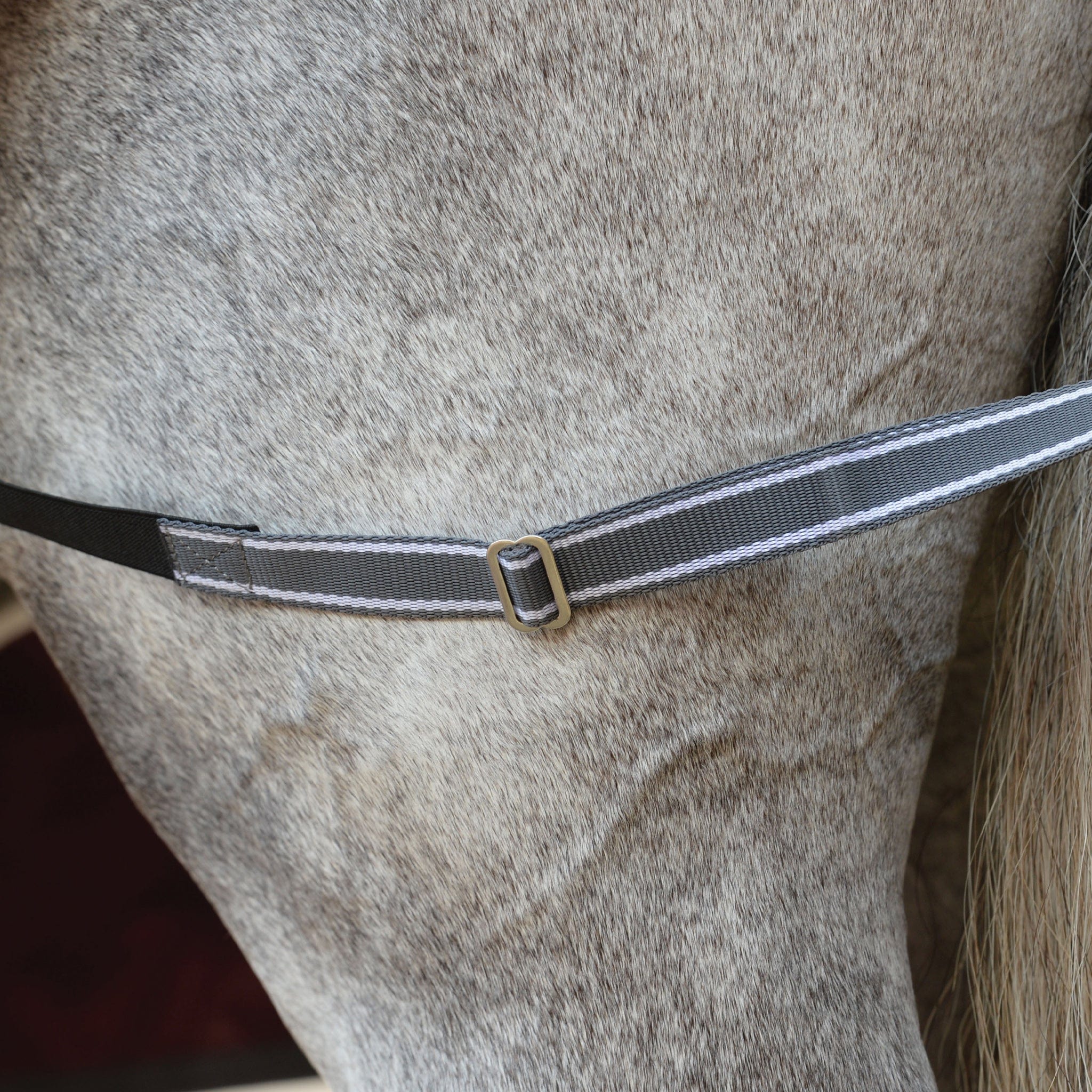 Weatherbeeta ComFiTec Plus Dynamic II 220g Combo Neck Turnout Rug