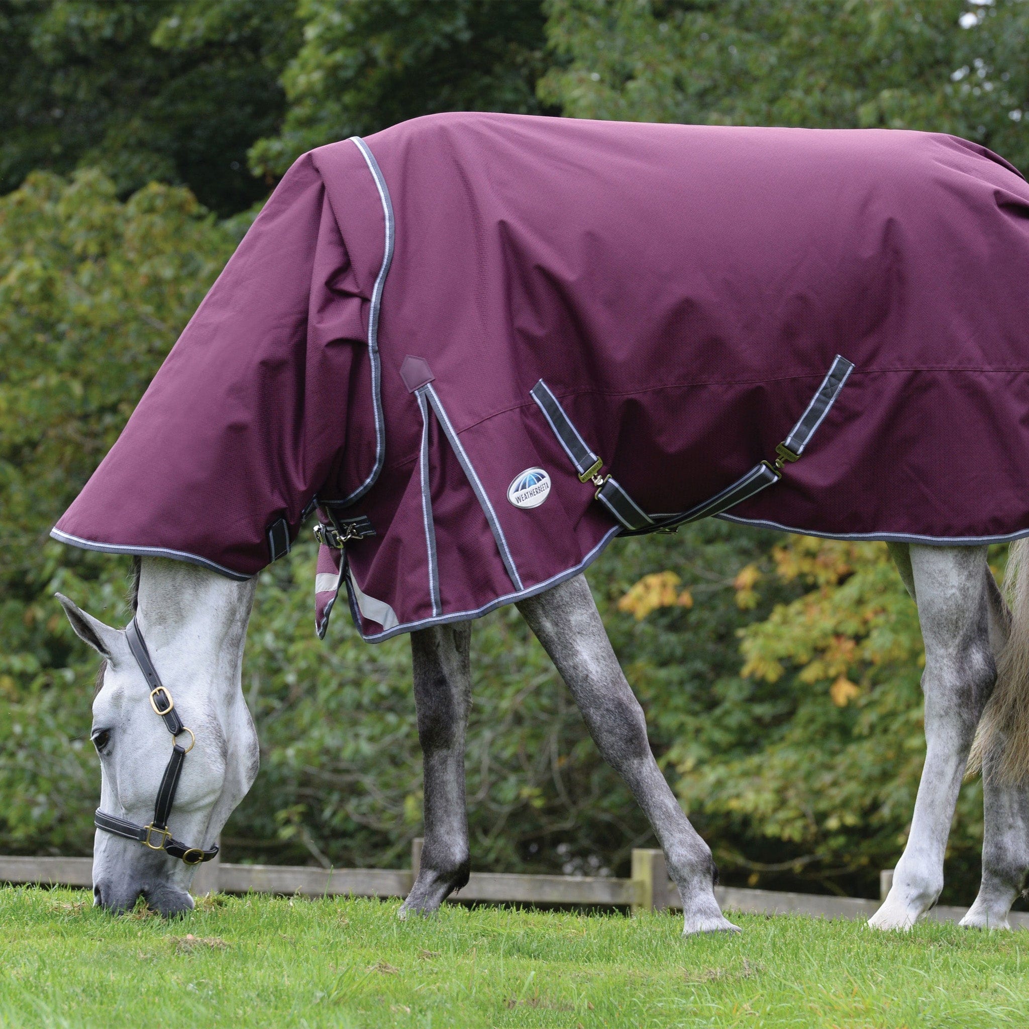 Weatherbeeta ComFiTec Plus Dynamic II 360g Detachable Neck Turnout Rug