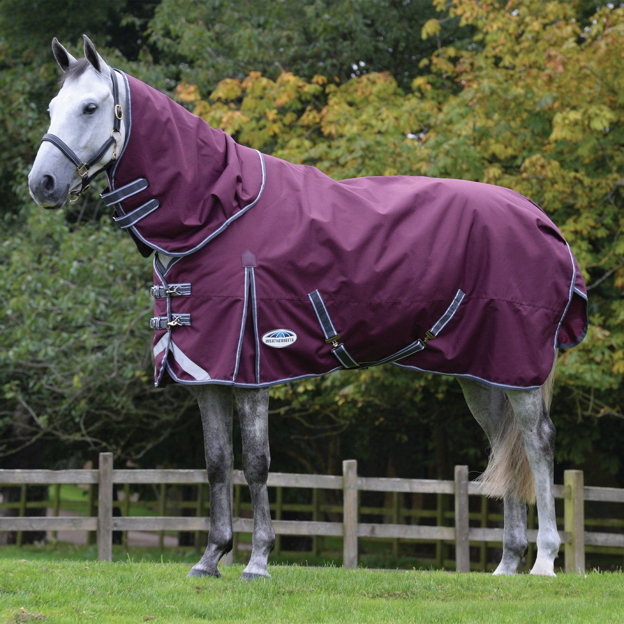 Weatherbeeta ComFiTec Plus Dynamic II 360g Detachable Neck Turnout Rug