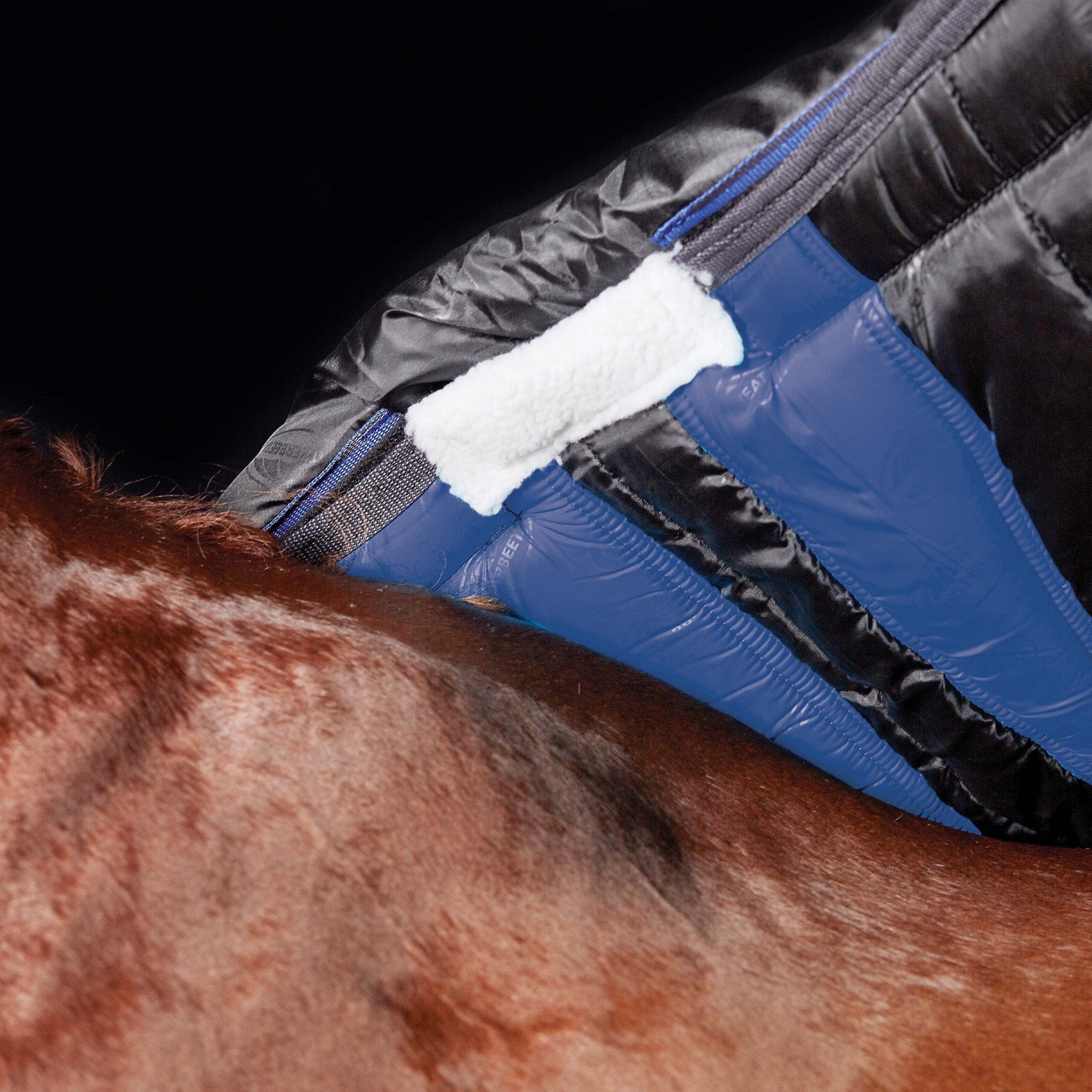 Weatherbeeta ComFiTec Plus Dynamic II 360g Detachable Neck Turnout Rug