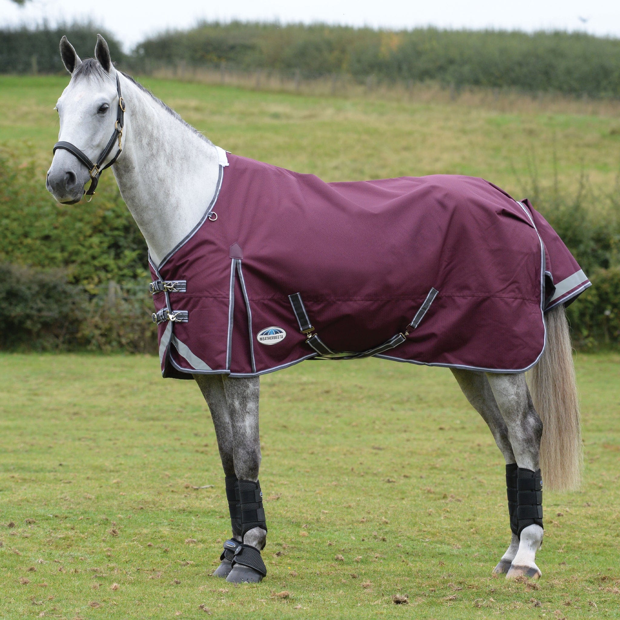 Weatherbeeta ComFiTec Plus Dynamic II 100g Standard Neck Turnout Rug