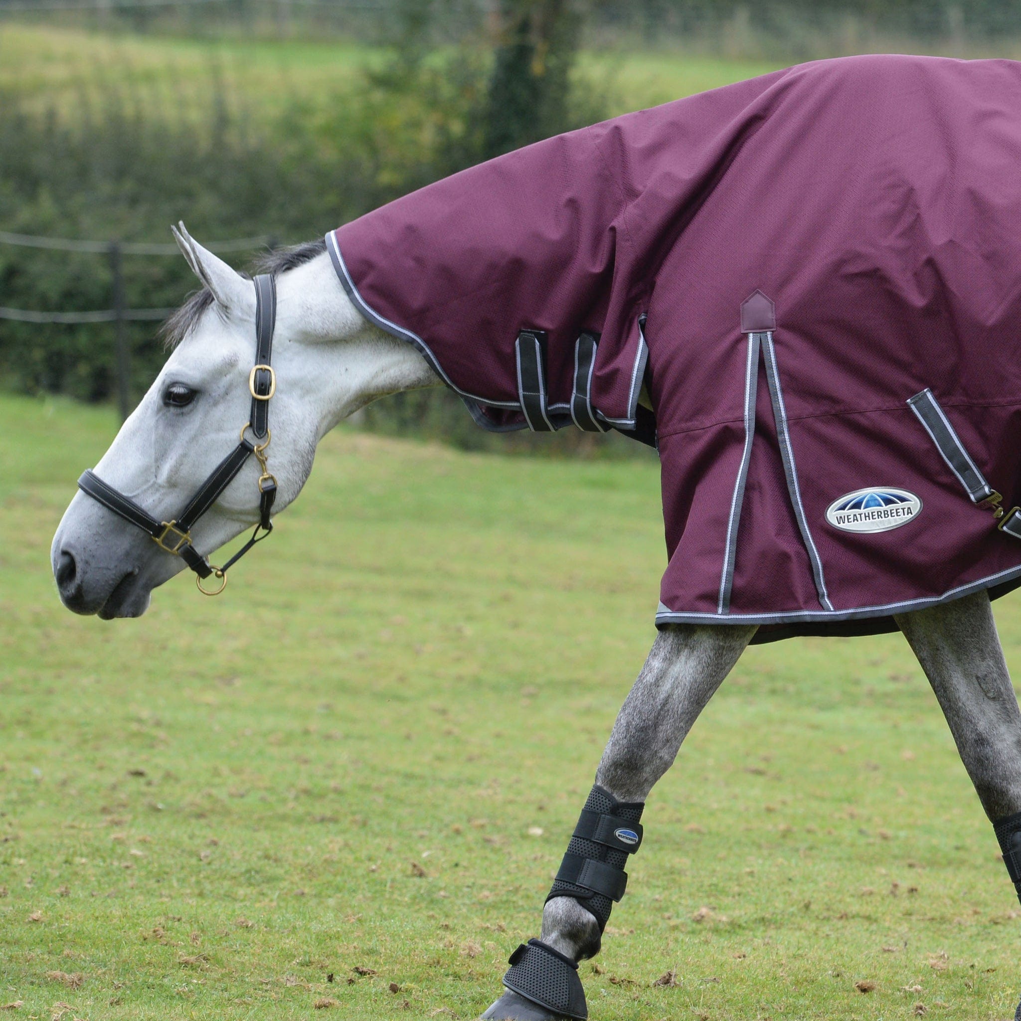 Weatherbeeta ComFiTec Plus Dynamic II 100g Combo Neck Turnout Rug