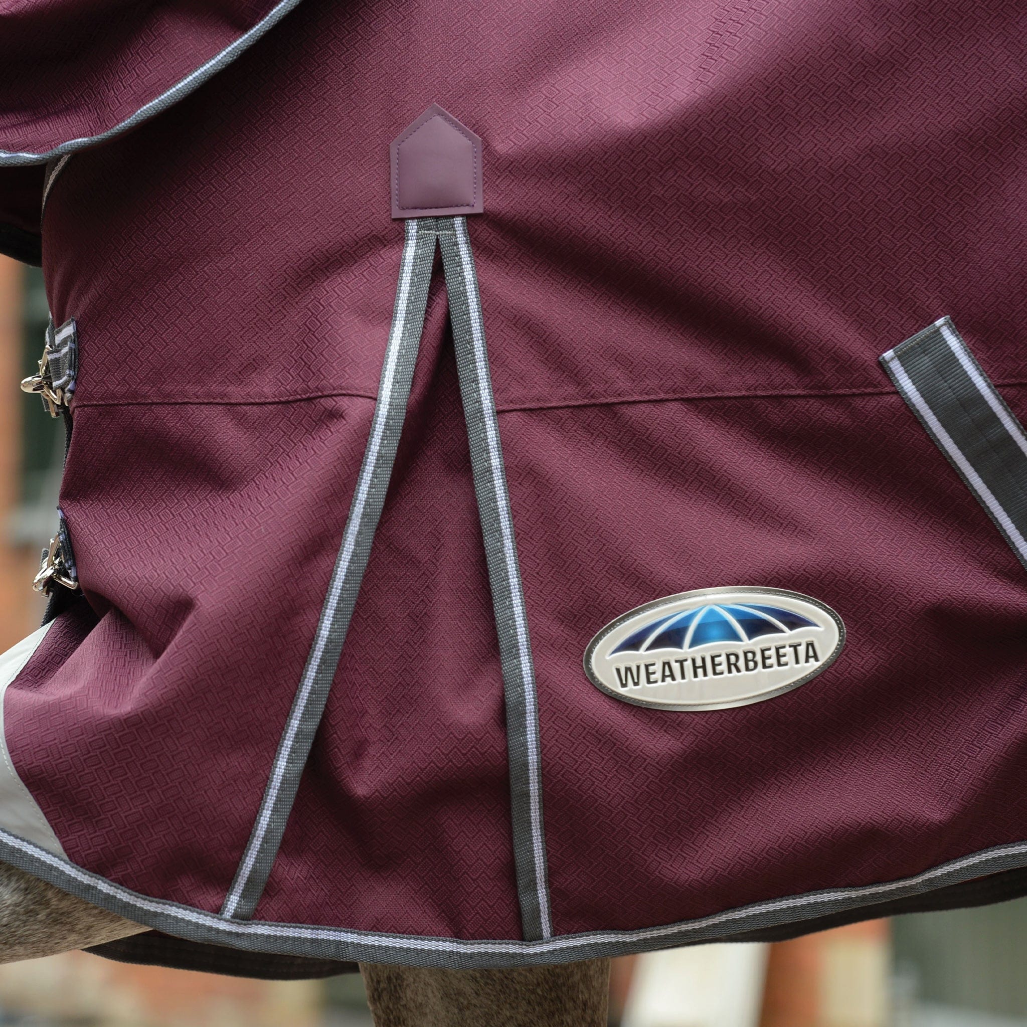 Weatherbeeta ComFiTec Plus Dynamic II 100g Combo Neck Turnout Rug