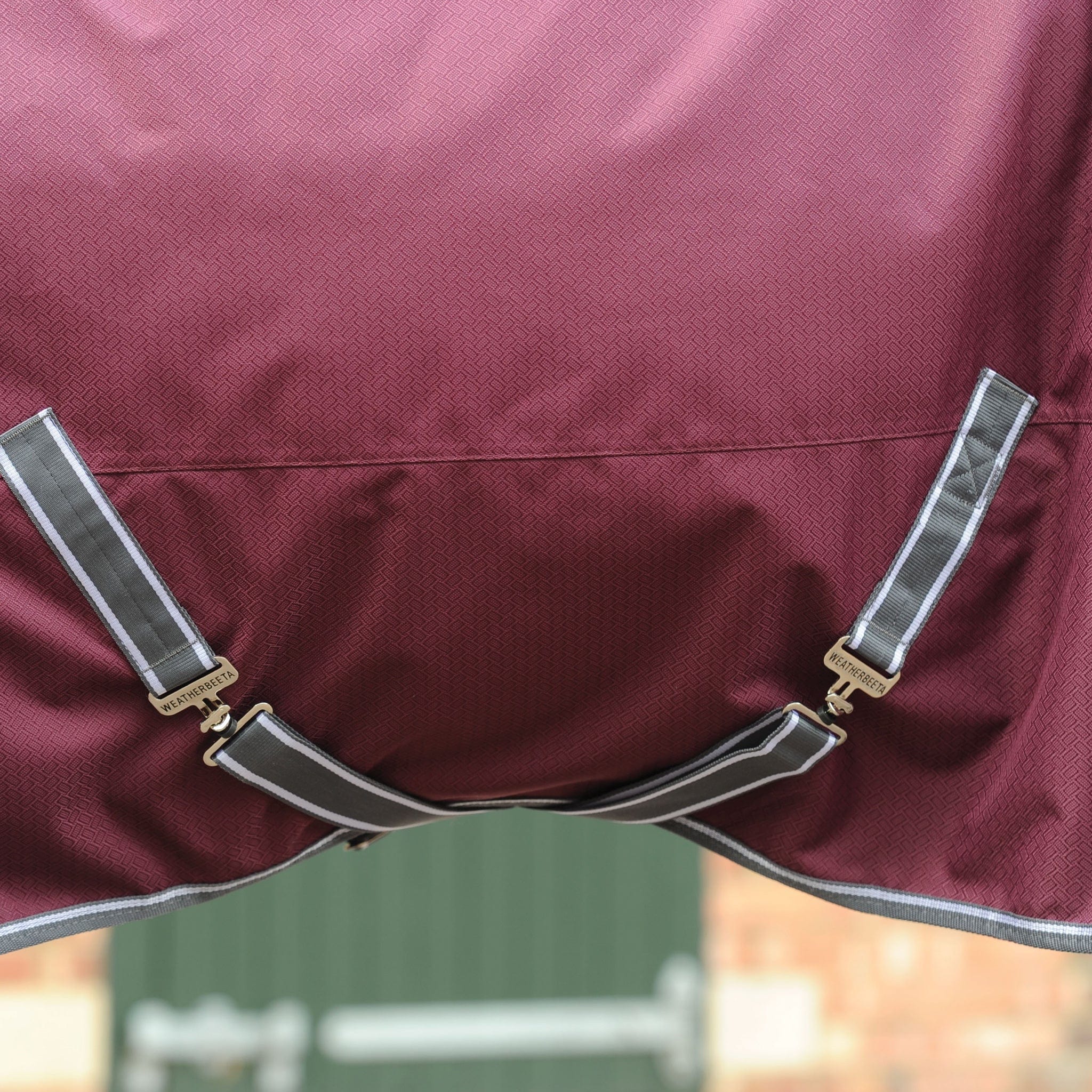 Weatherbeeta ComFiTec Plus Dynamic II 100g Combo Neck Turnout Rug