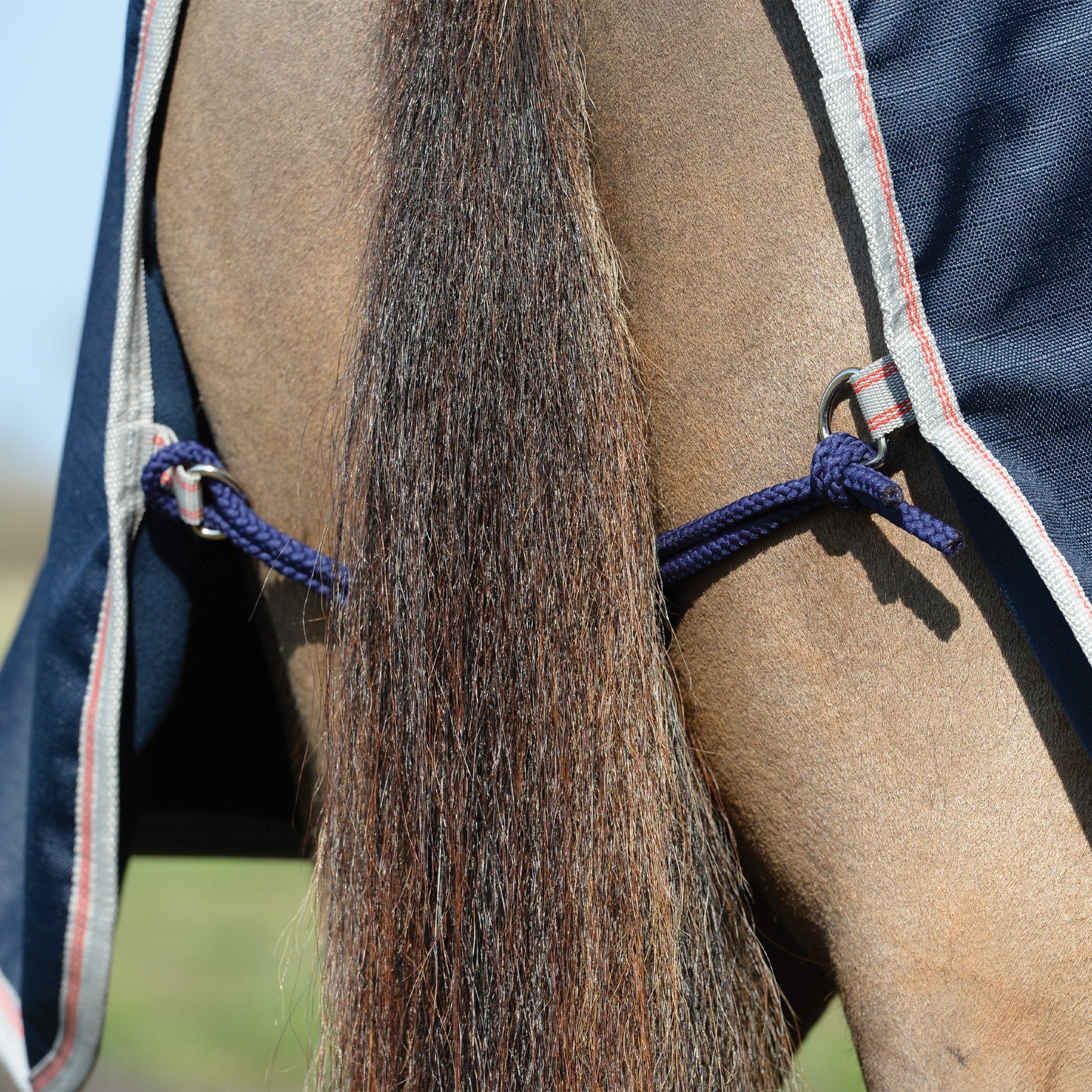 WeatherBeeta Essential Fleece Lined Quarter Sheet