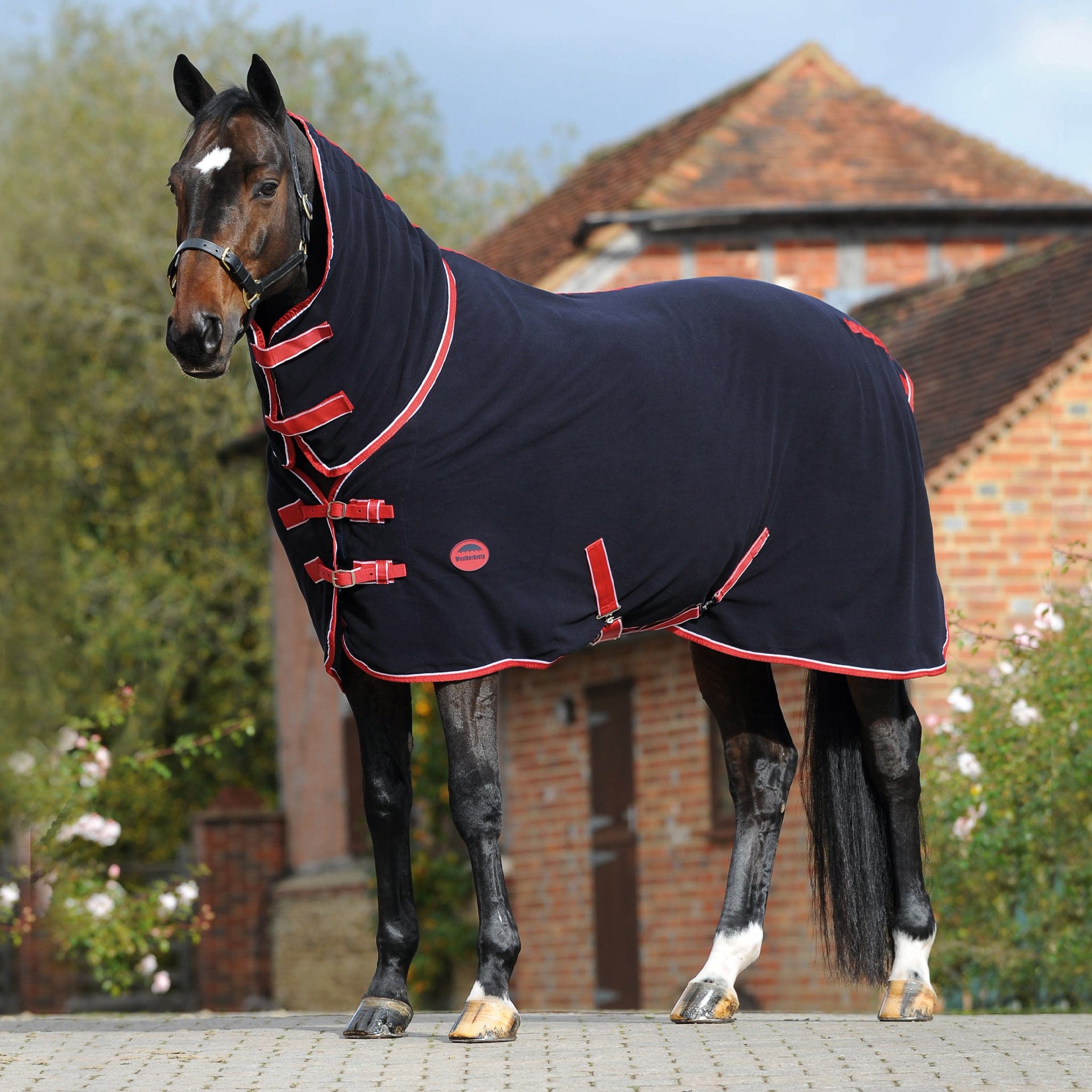 Weatherbeeta Fleece Cooler Combo Rug - 4'9 · Navy Red And White