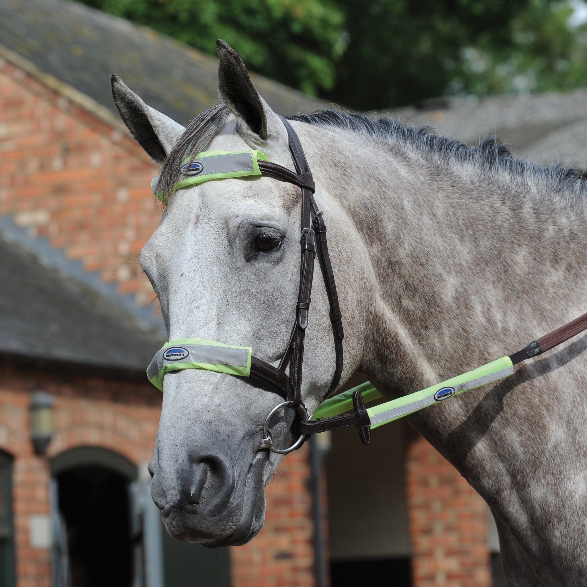 Weatherbeeta Hi Viz Reflective Bridle Kit - Yellow