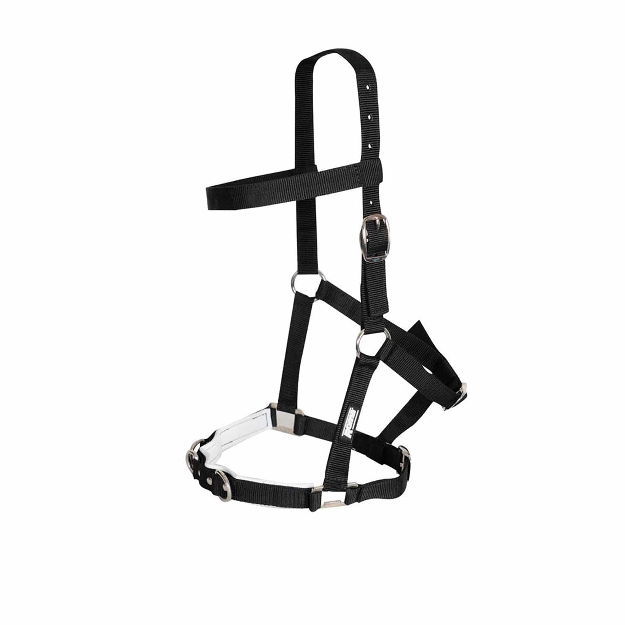 Kincade Nylon Padded Lunge Cavesson