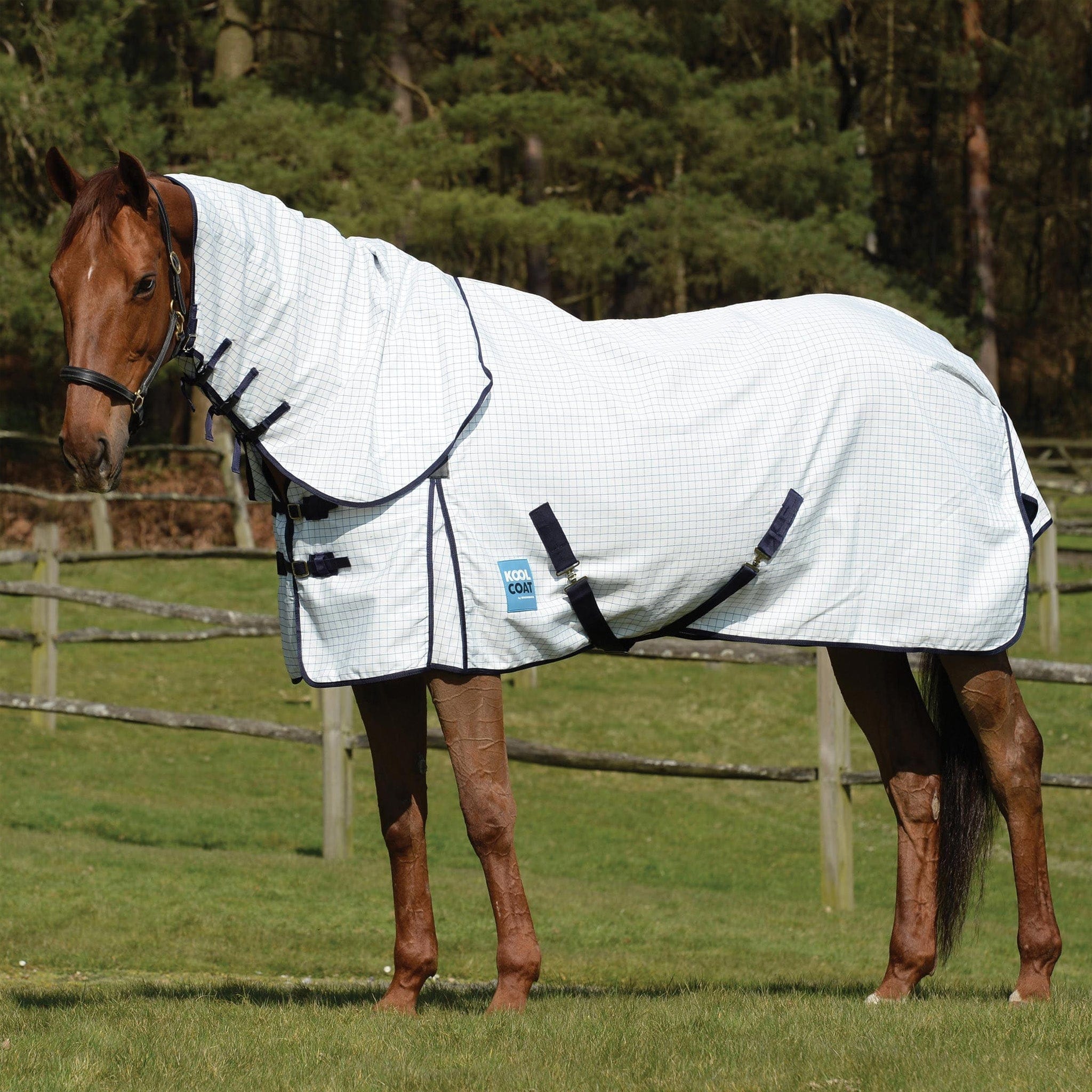 Kool Coat | EQUUS