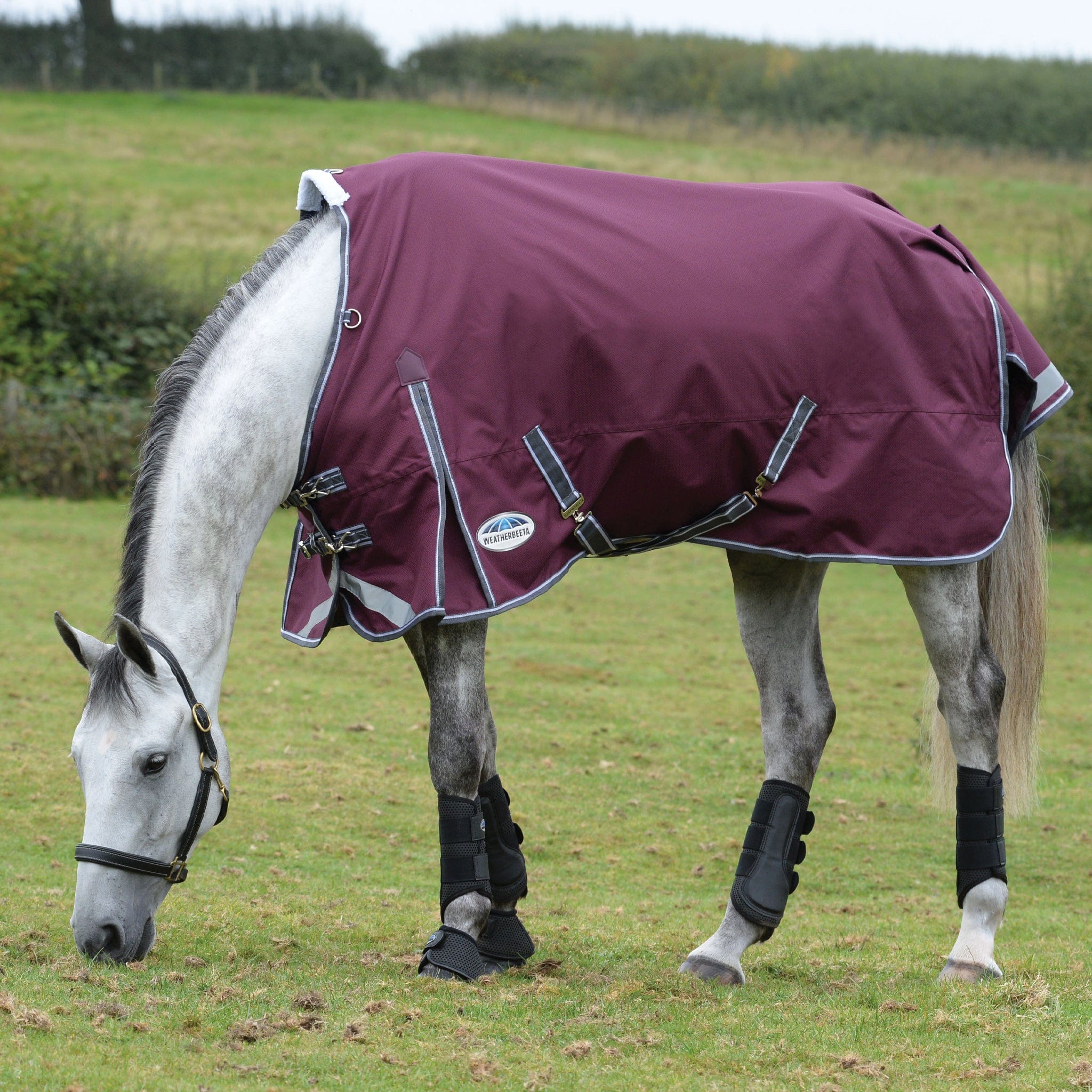 Weatherbeeta ComFiTec Plus Dynamic II 220g Standard Neck Turnout Rug