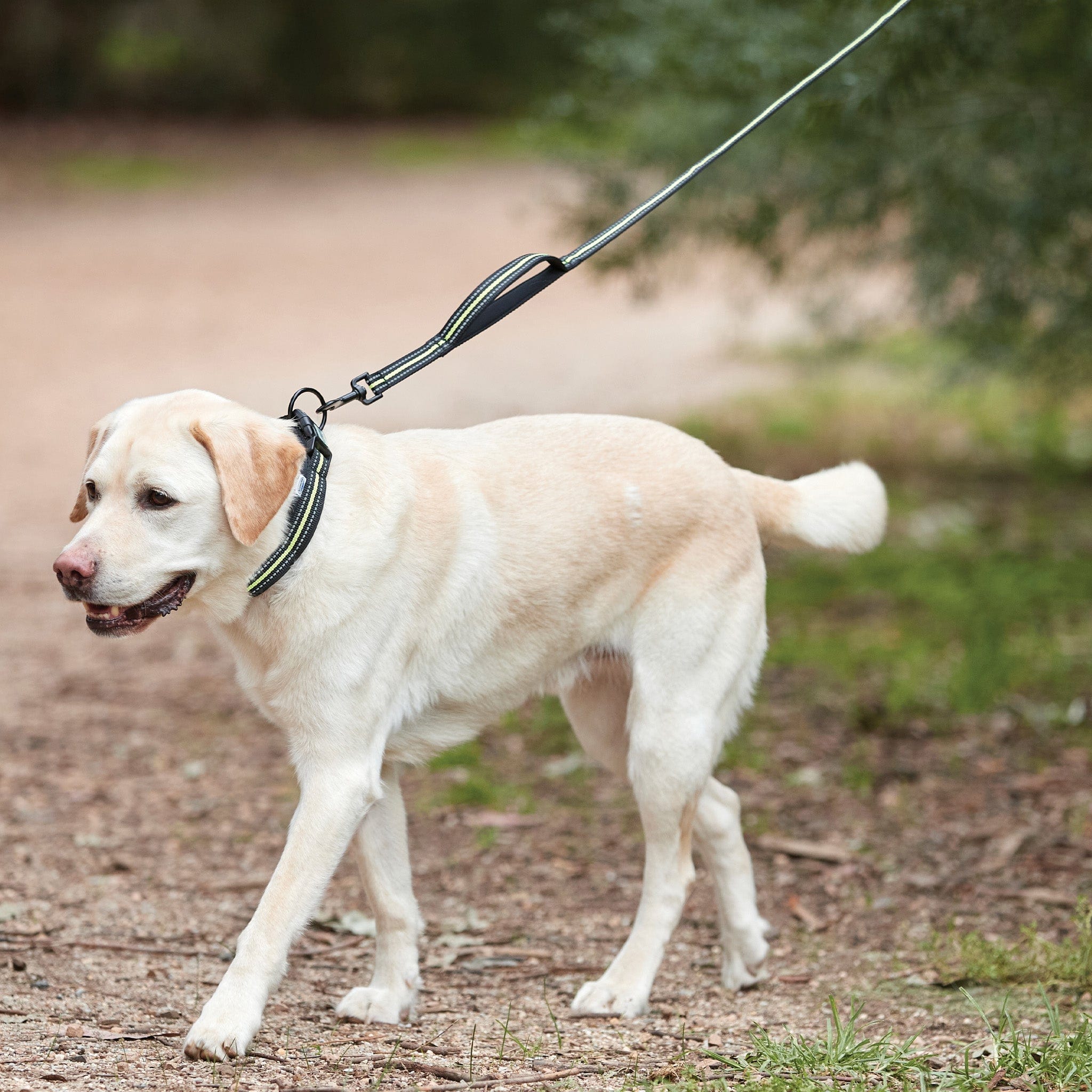 Weatherbeeta Reflective Dog Lead - Yellow and Black