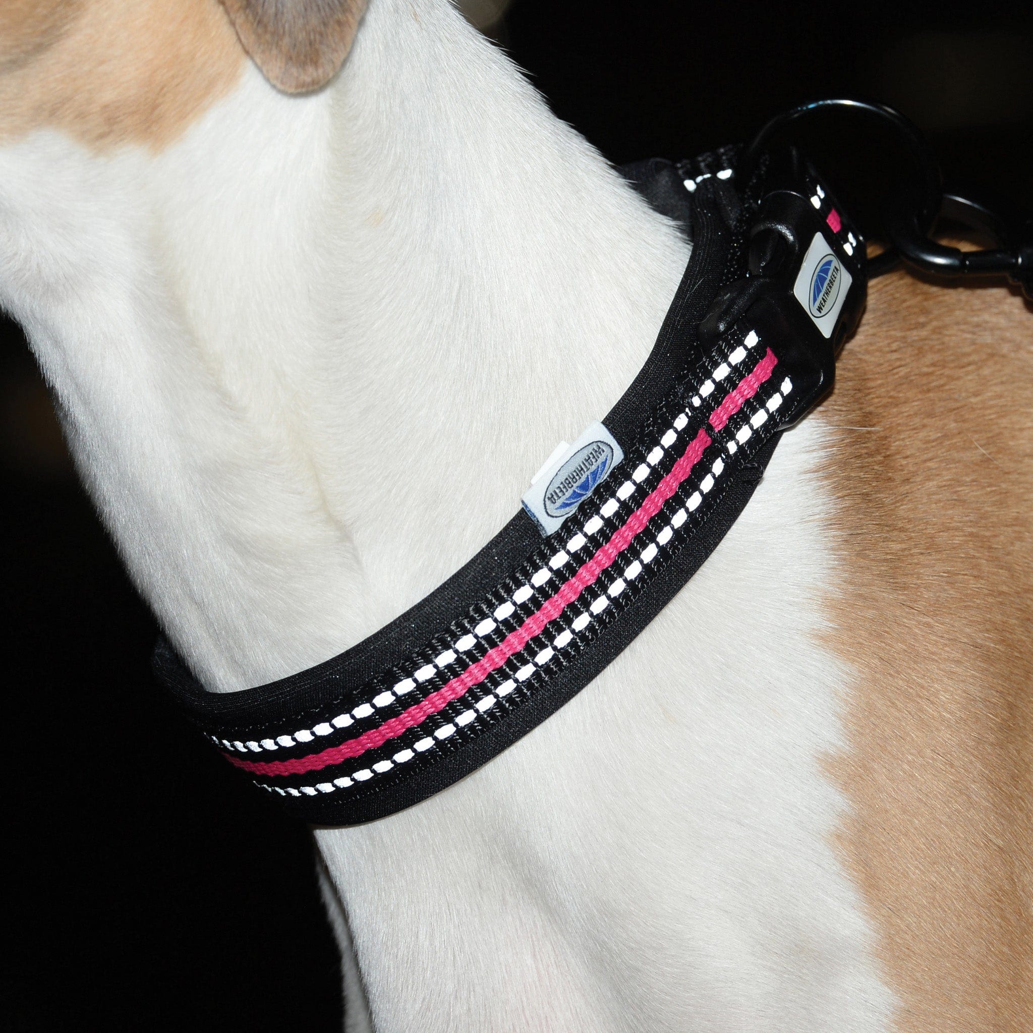 Weatherbeeta Reflective Dog Collar