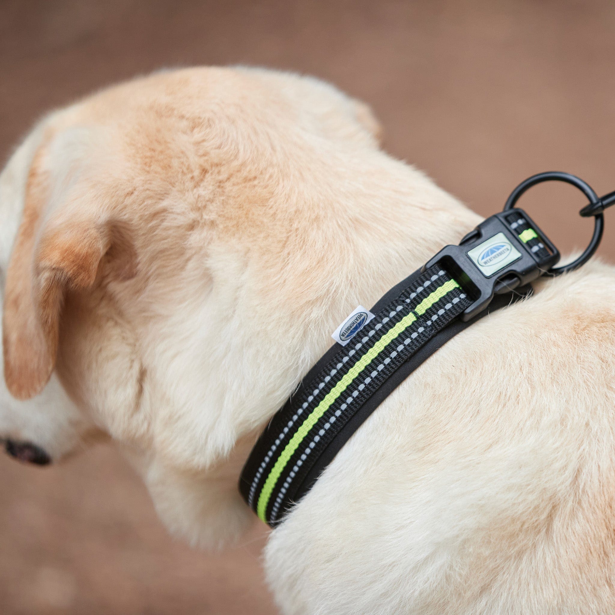 Weatherbeeta Reflective Dog Collar