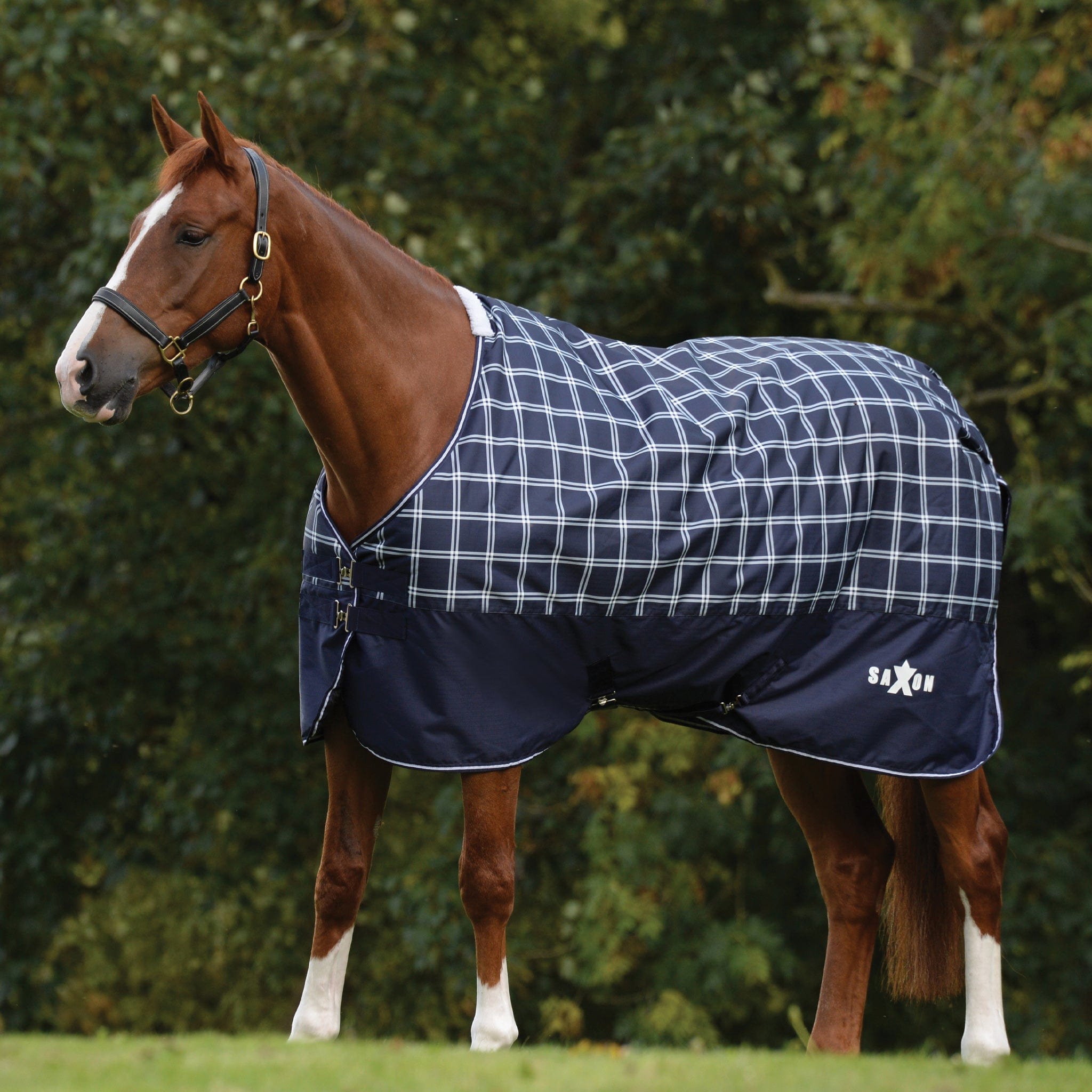 Saxon Defiant 600D 0g Standard Neck Turnout Rug - 7'0 · Navy Plaid