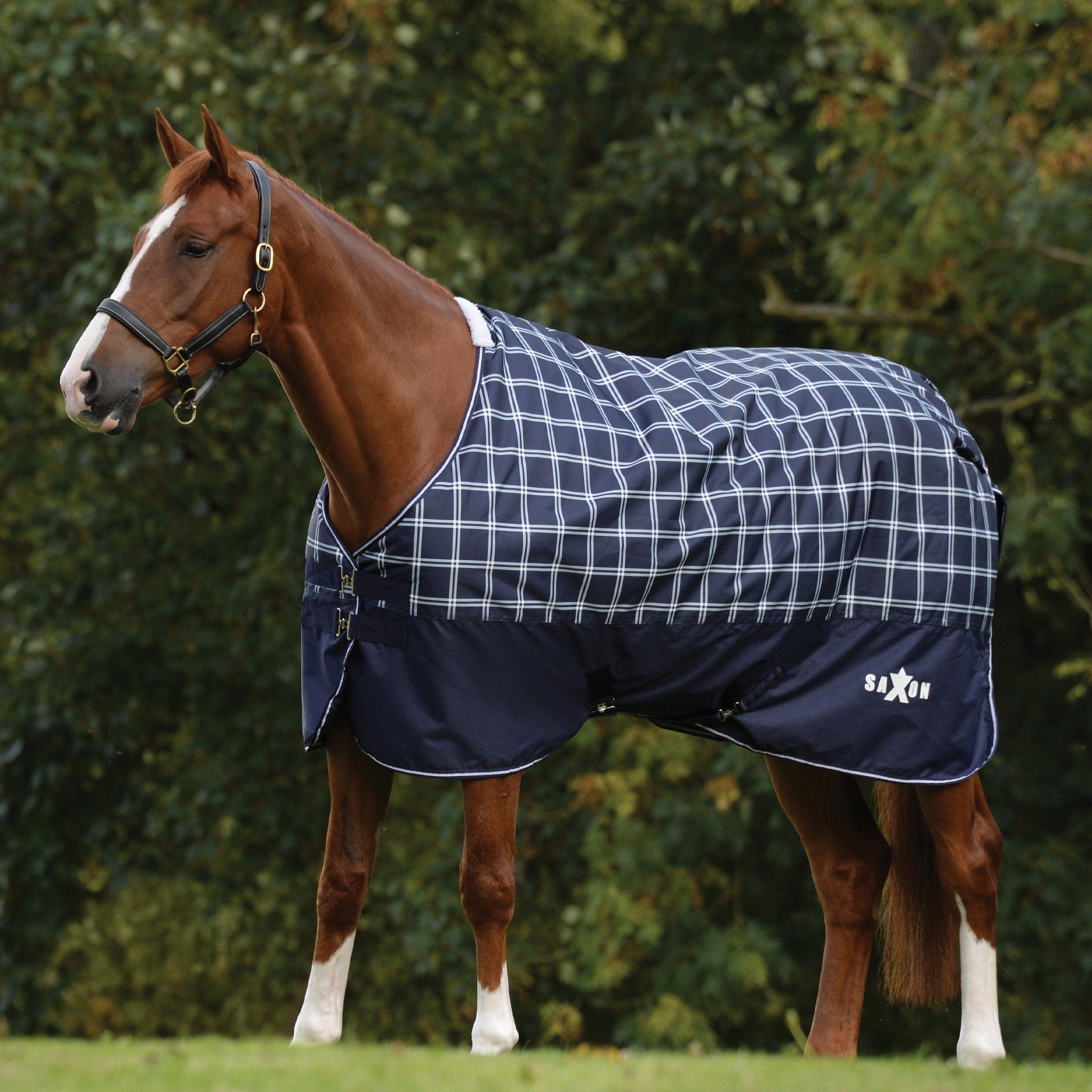 Saxon Defiant 600D 200g Standard Neck Turnout Rug - Navy Plaid · 4'3