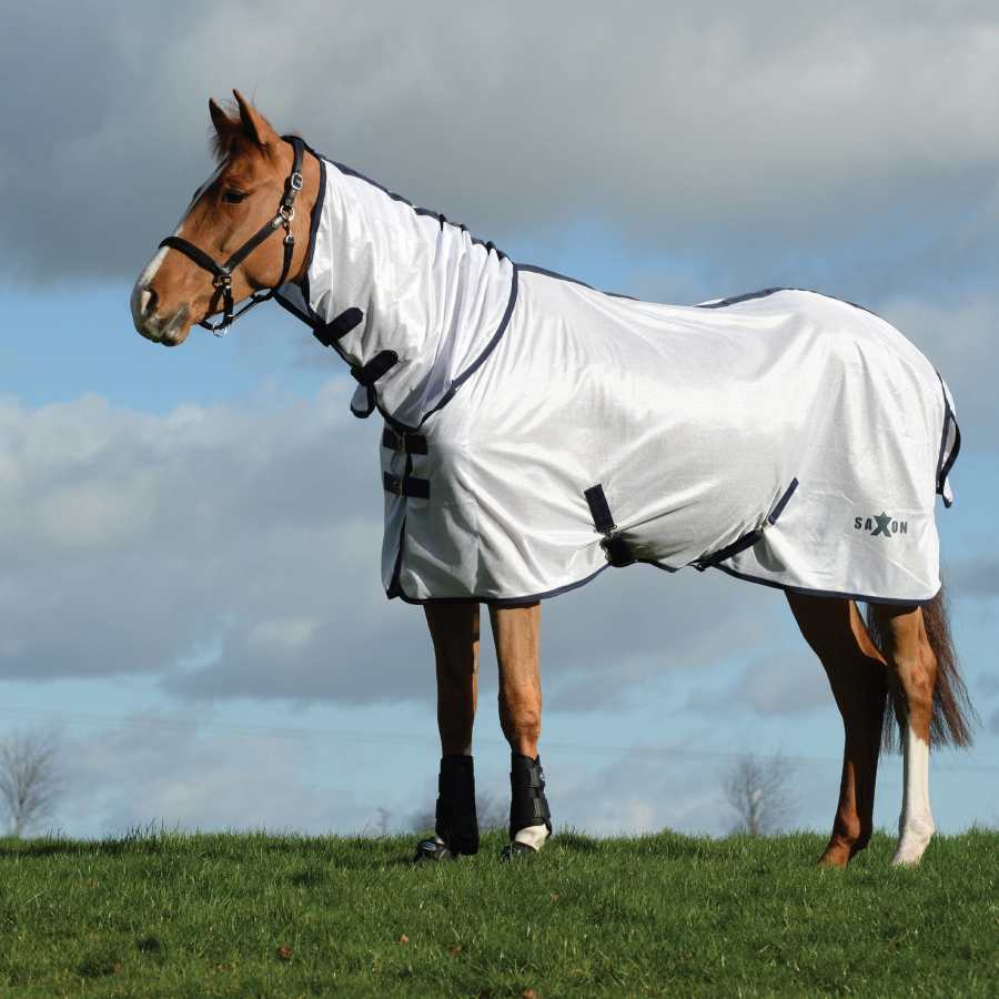 Horse Fly Rugs Fly Rugs and Sweet Itch Rugs For Horses EQUUS