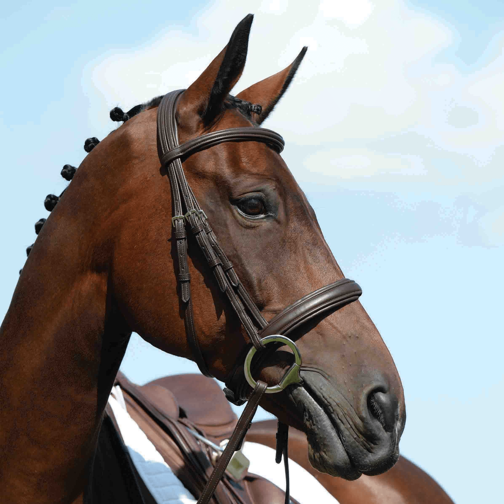 Collegiate Syntovia Padded Cavesson Bridle - Cob · Brown