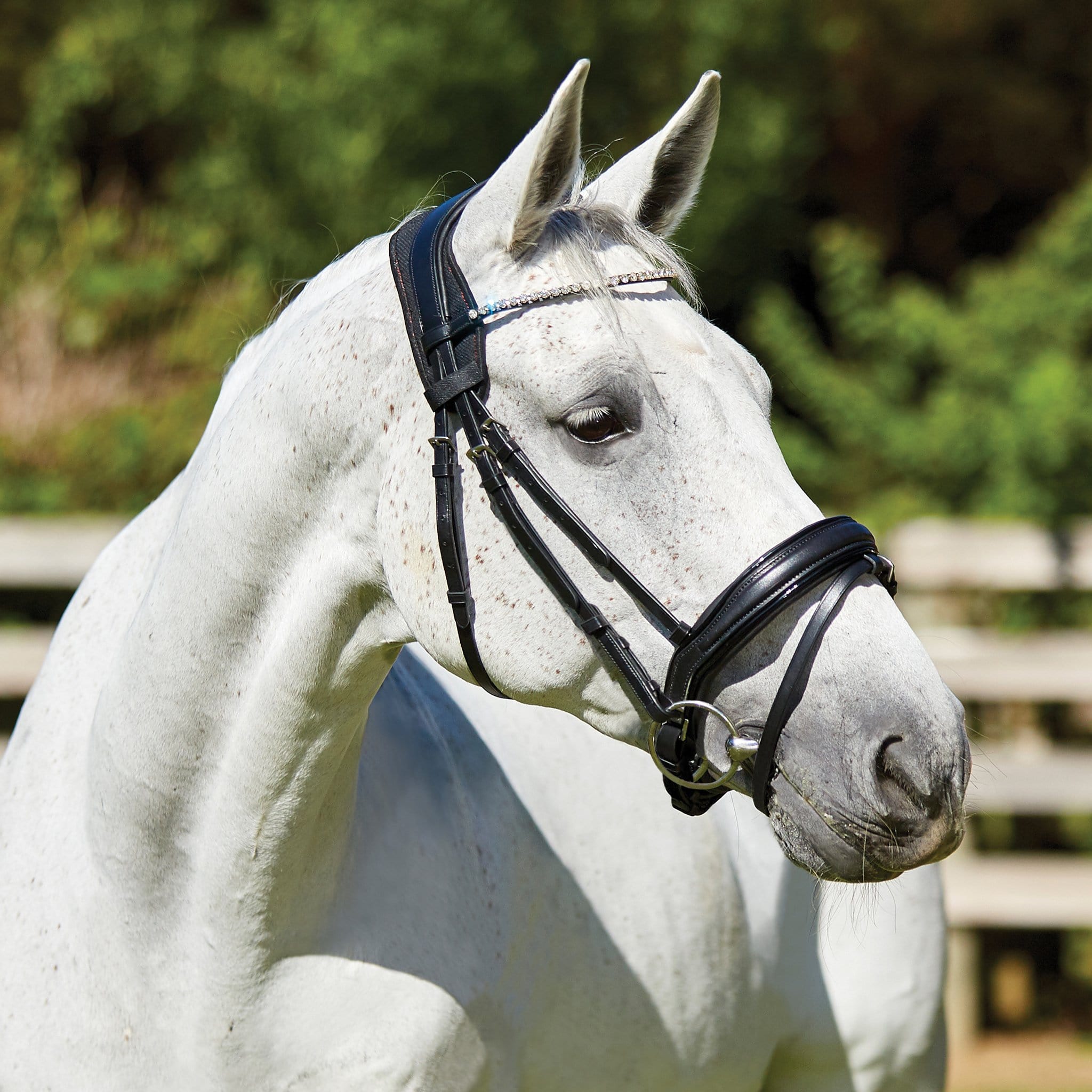 Weatherbeeta Therapy-Tec Anatomical Poll Pad