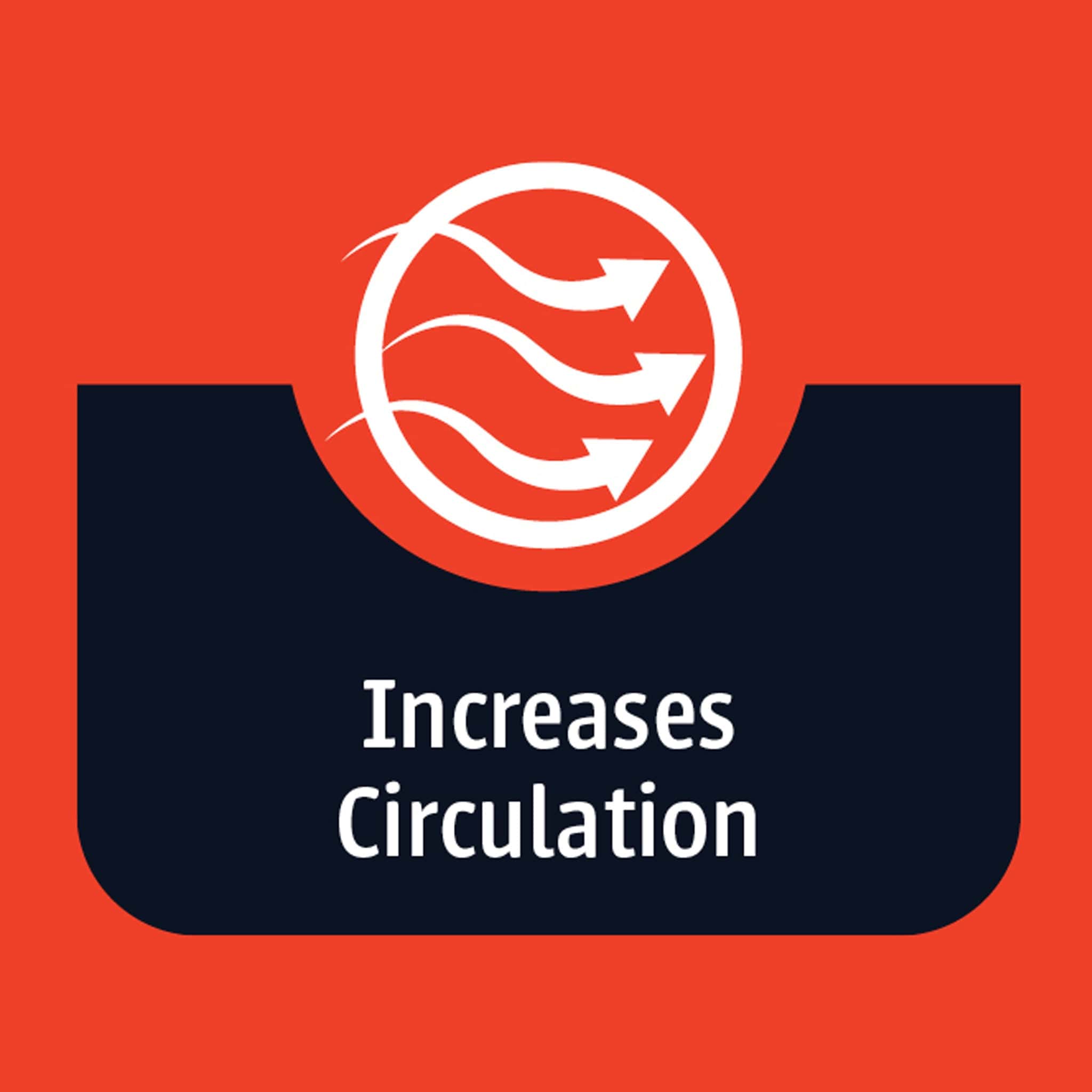 Weatherbeeta ComFiTec Premier Therapy-Tec 50g Detachable Neck Turnout Rug