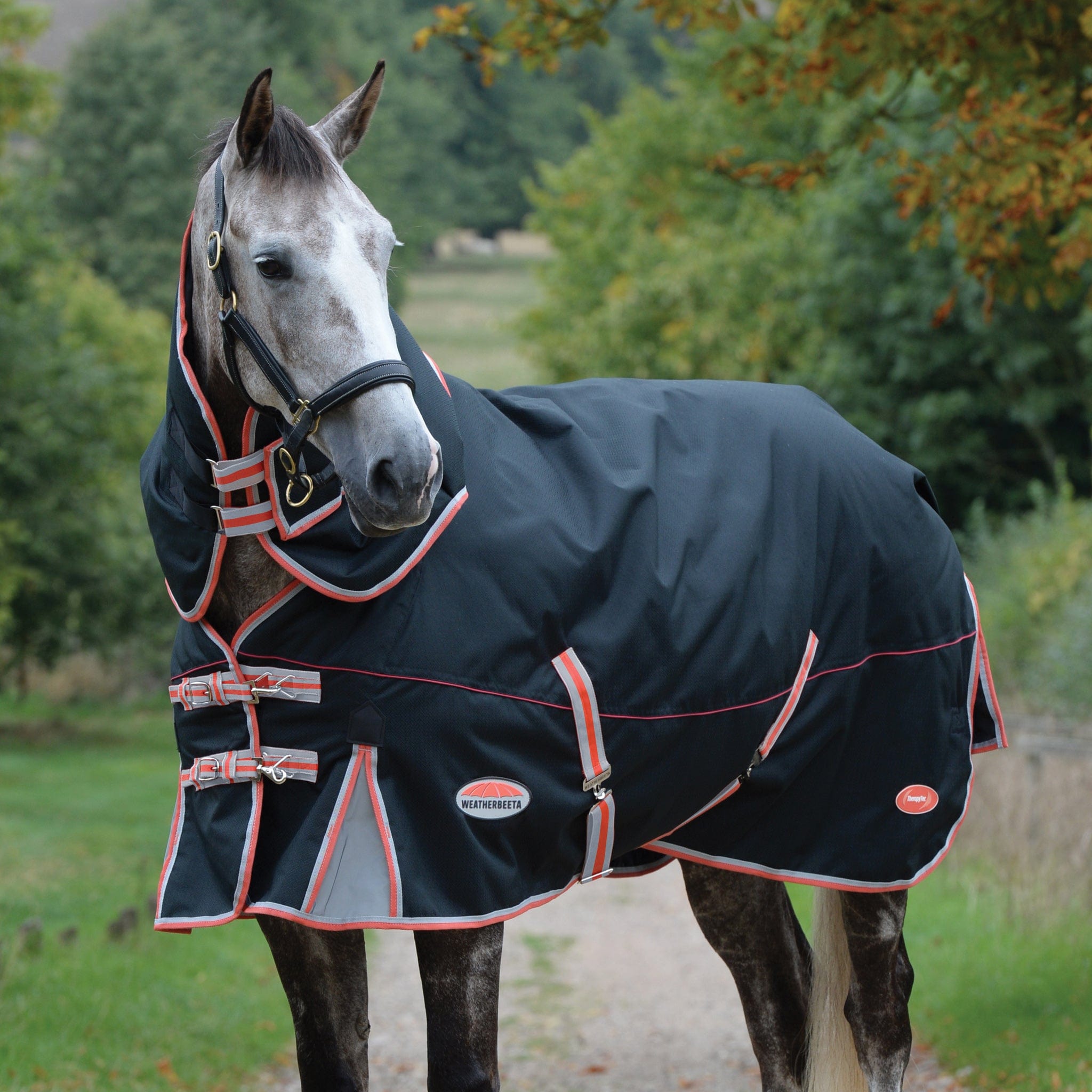 Weatherbeeta ComFiTec Premier Therapy-Tec 50g Detachable Neck Turnout Rug