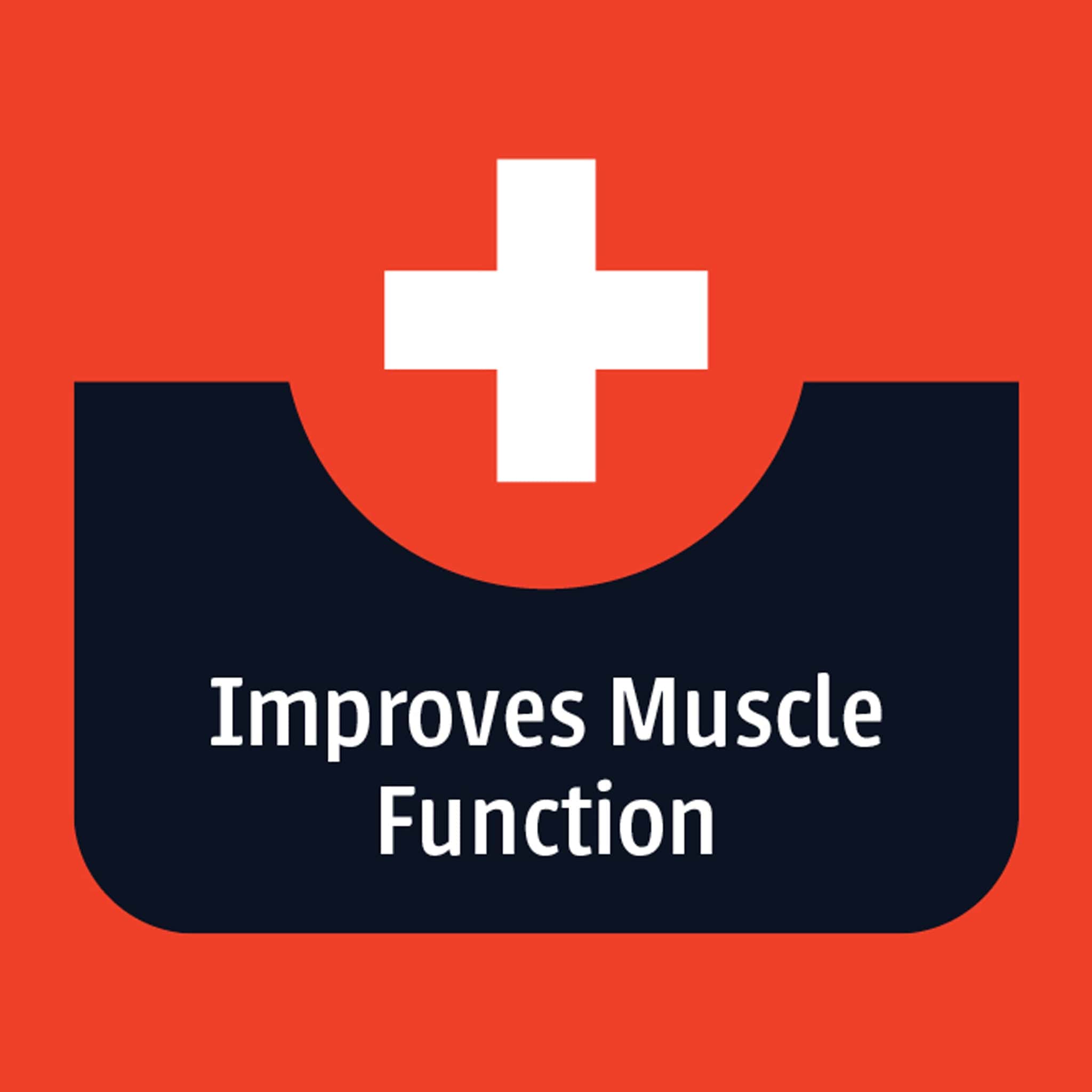 Weatherbeeta ComFiTec Premier Therapy-Tec 50g Detachable Neck Turnout Rug