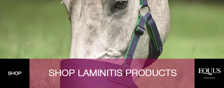Shop Laminitis Products