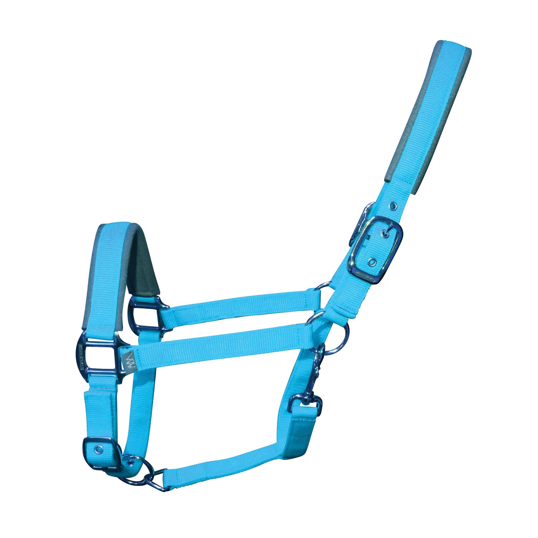 Woof Wear Contour Headcollar and Lead Rope Turquoise WS0020