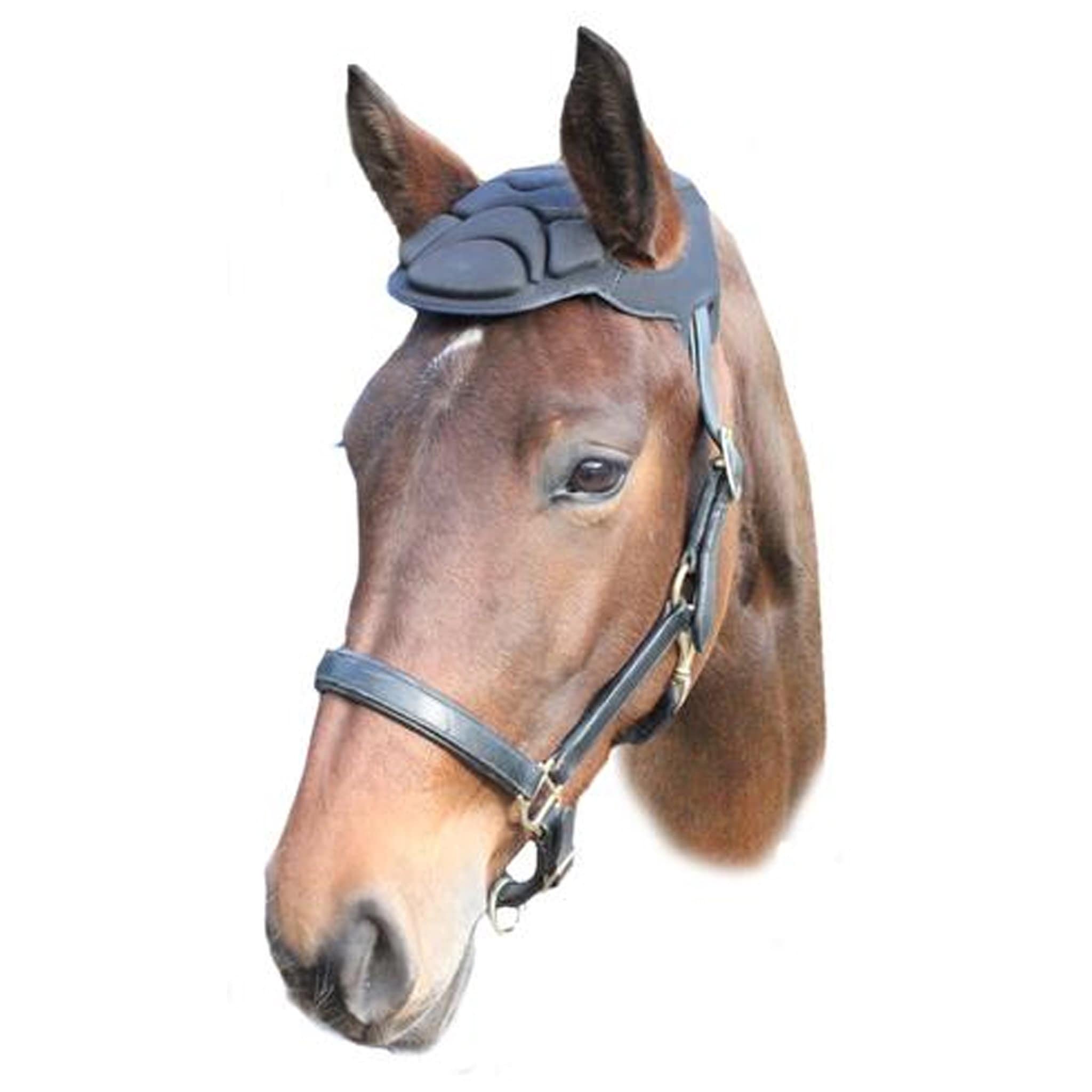 Woof Wear Poll Guard worn by Horse WT0004