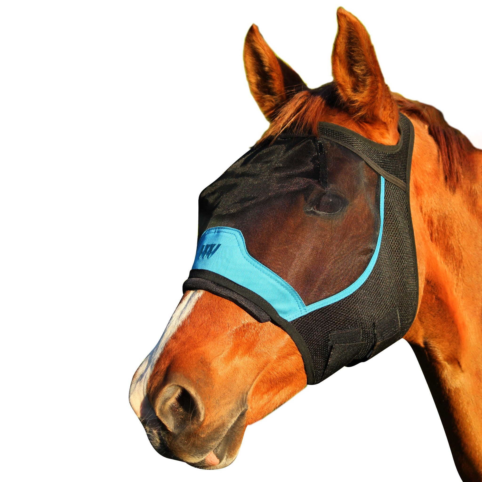 Woof Wear UV Fly Mask Without Ears WS0014 Black and Blue