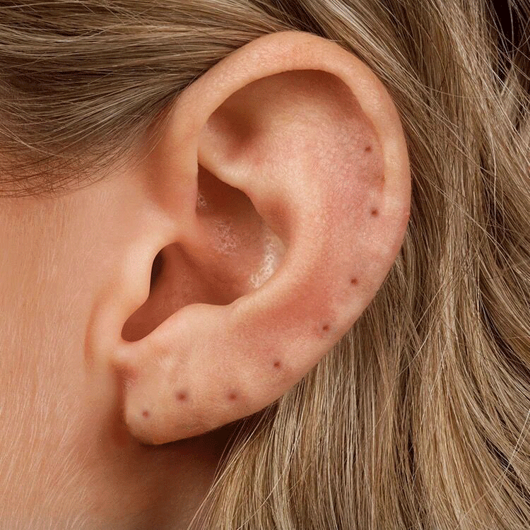 Minimalist Sparkle Ear Stud Set Piercing
