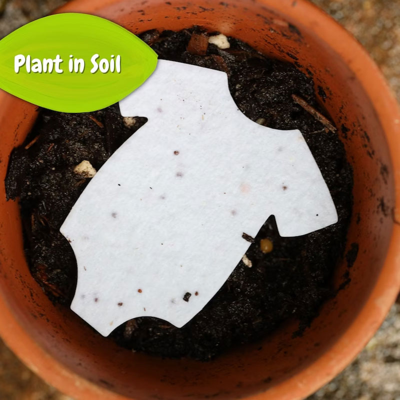 Baby Shower Favors - Wildflower Seed Packets