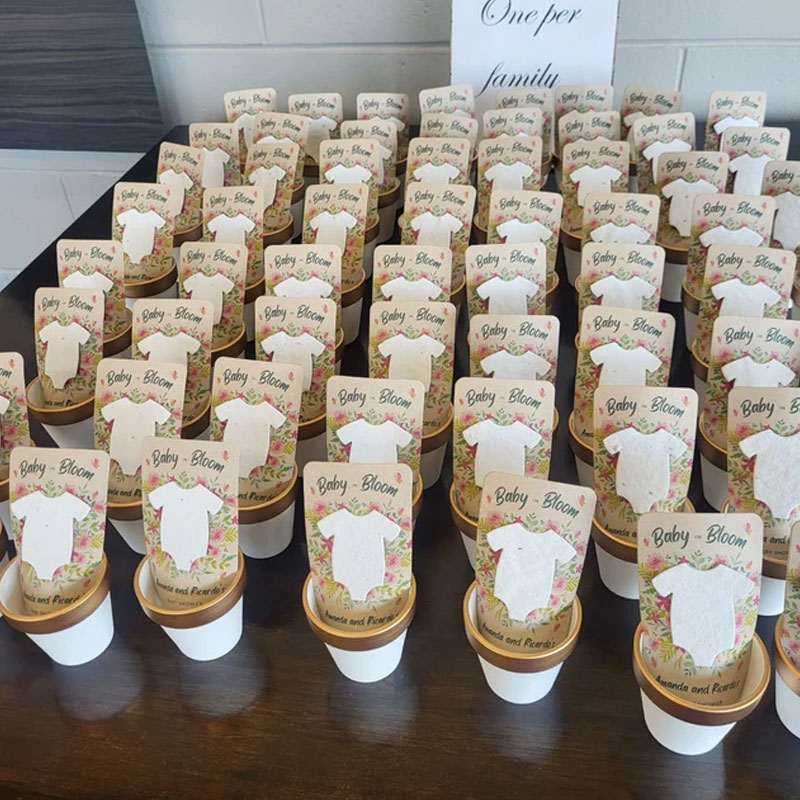 Baby Shower Favors - Wildflower Seed Packets