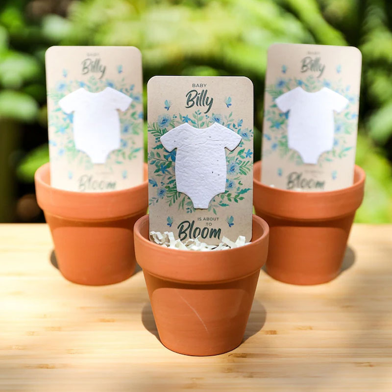 Baby Shower Favors - Wildflower Seed Packets