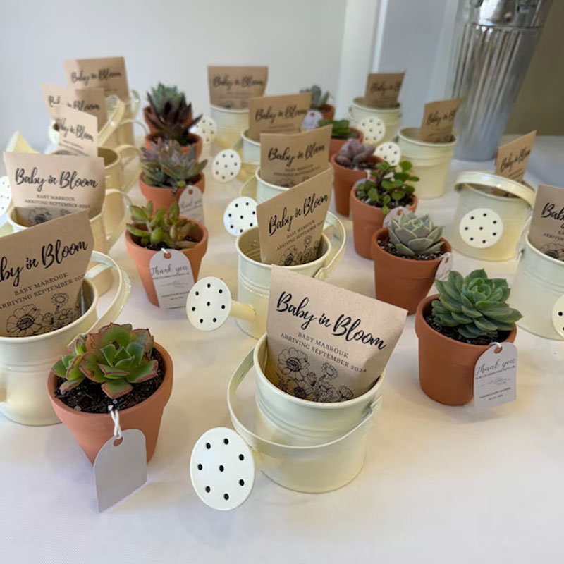 Custom Baby In Bloom Wildflower Seed Packet Favors For Baby Shower