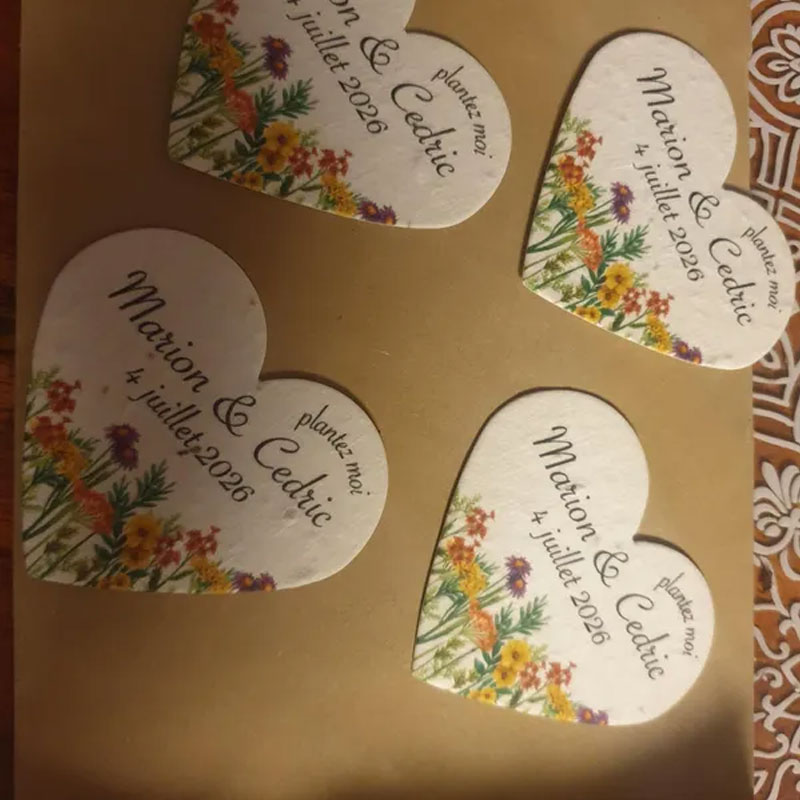 Custom Wedding Gift Favors Seed Paper Hearts Shapes