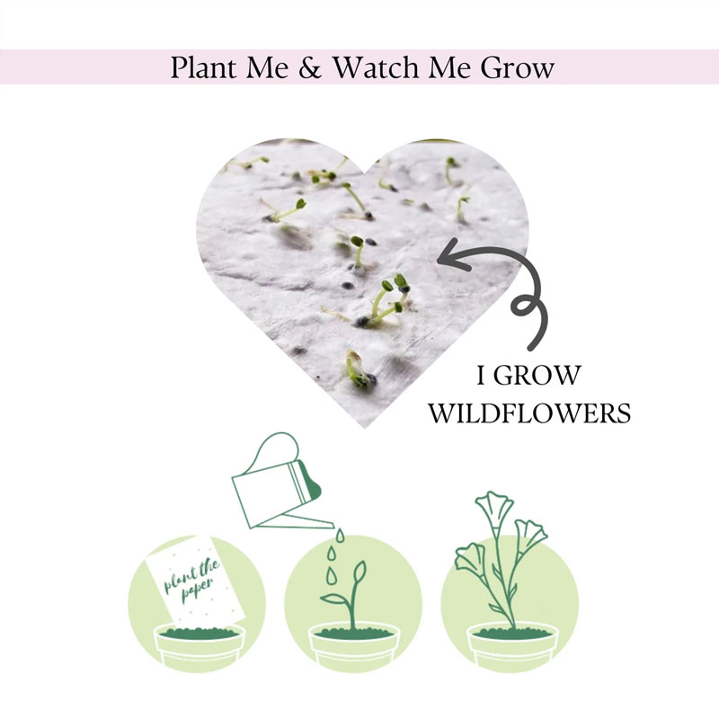 Plantable Seed Paper Wedding & Shower Favours
