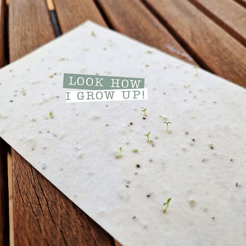 Bulk Plantable Heart Shapes Thank you Wedding Favour Seed Paper