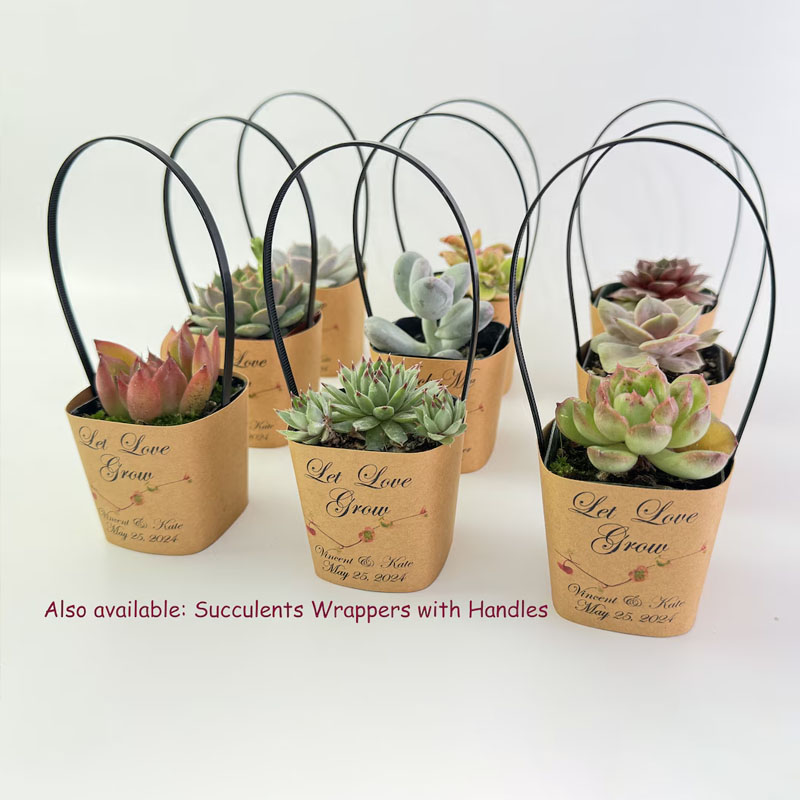 Succulent Wrappers For Wedding Favors As Thank You Gift