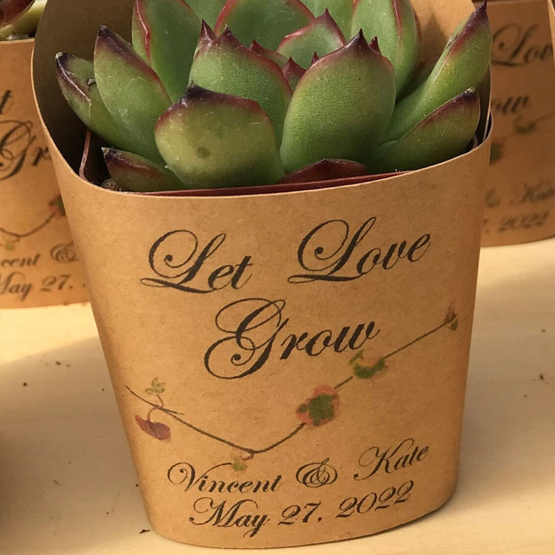 Succulent Wrappers For Wedding Favors As Thank You Gift