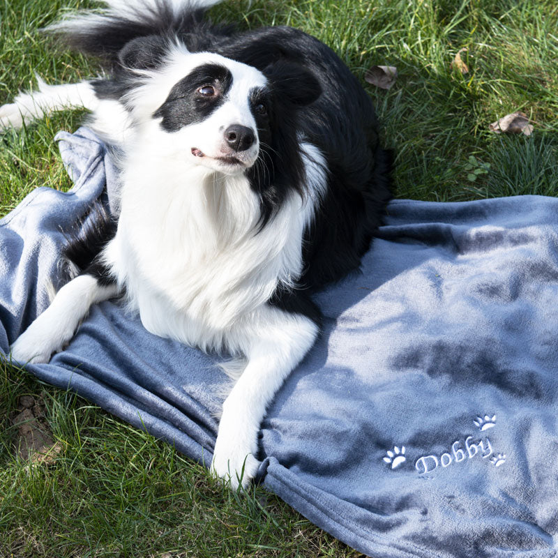 Personalized Dog Blanket Dog Gift Embroidery Paw(39.4����X27.5����)