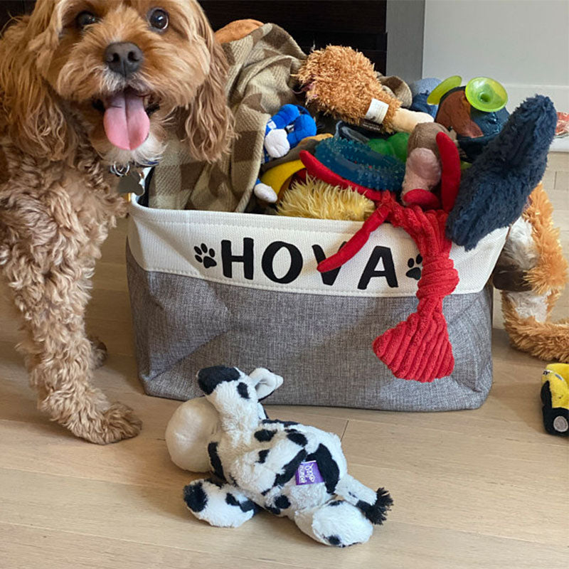 Customized Foldable Dog Toy Storage Bag