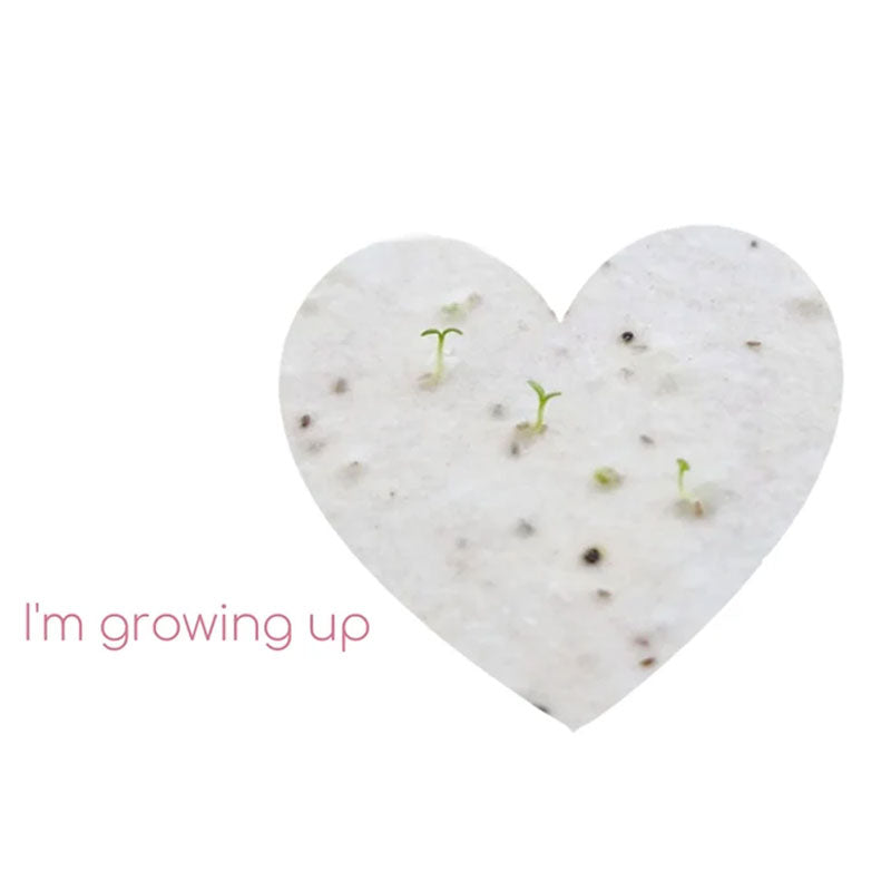 Bulk Plantable Heart shapes Gift Tag, Wedding Thank Seed paper