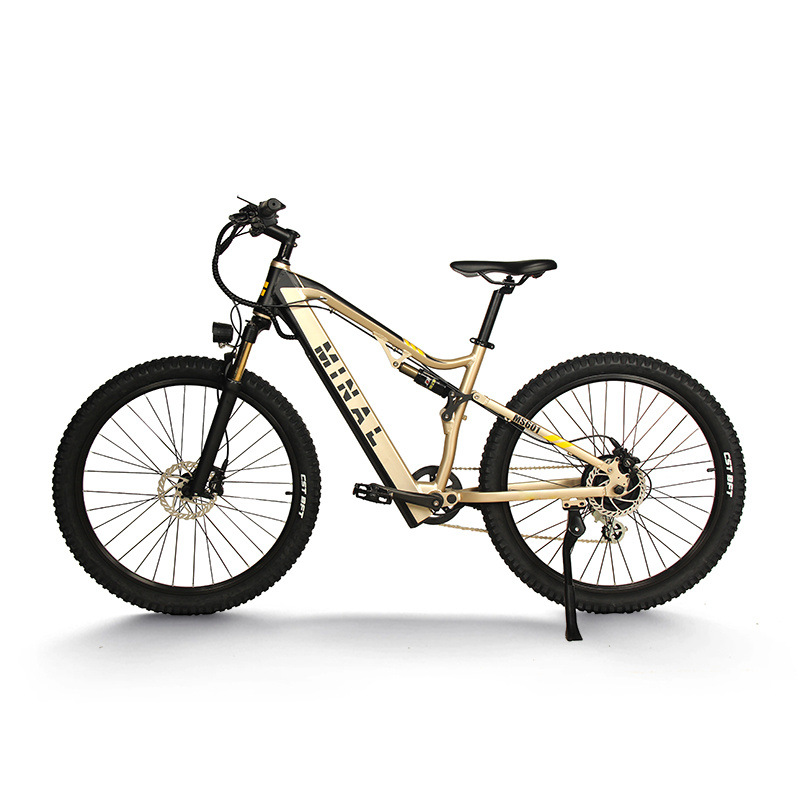 New e-bike MS60148V500W10.5A 14