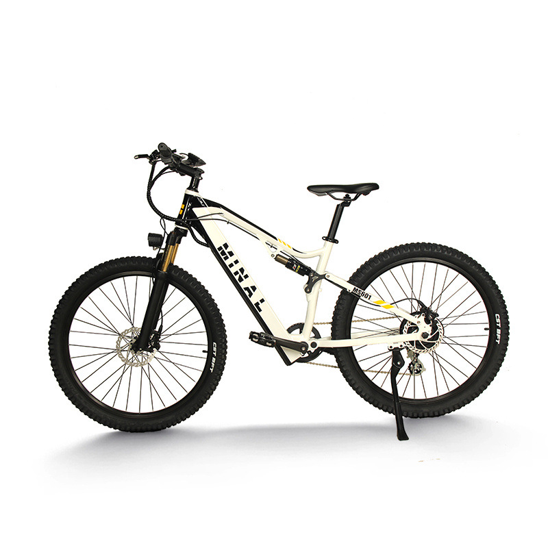 New e-bike MS60148V500W10.5A 14