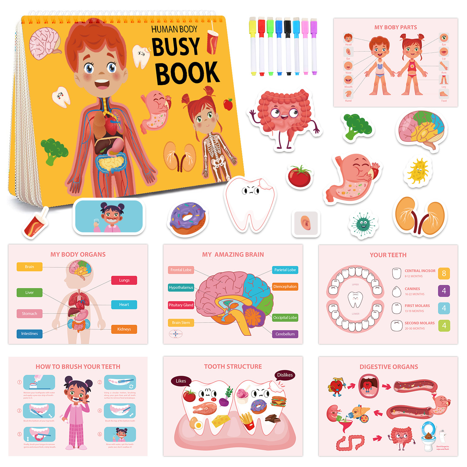 Busy Book for Children, Early Childhood Education, Body Structure Recognition, Quiet Book