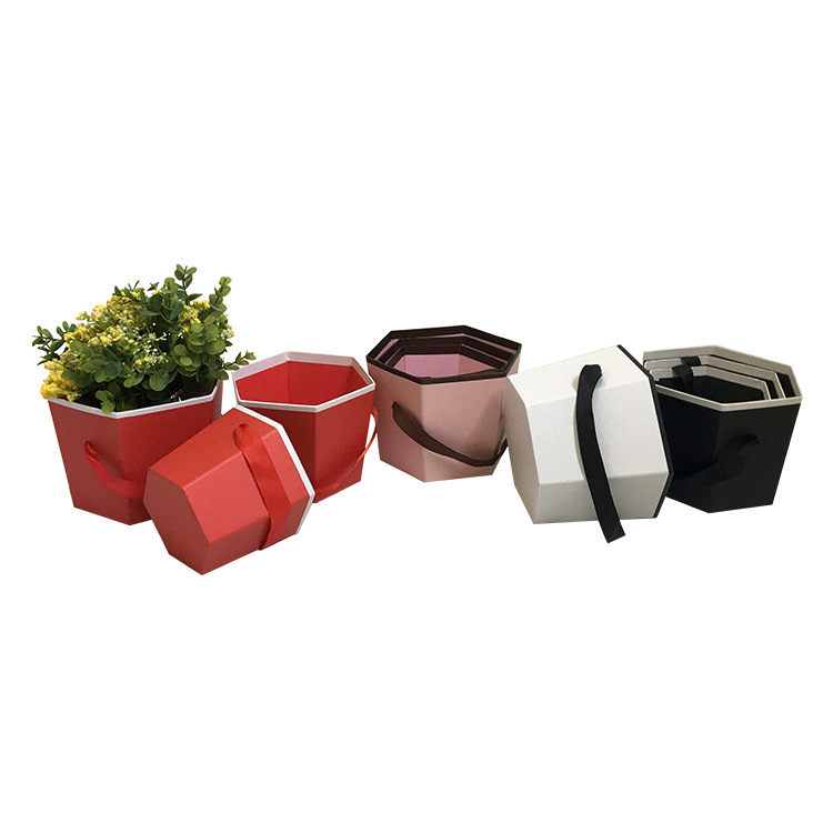 Juego de 3 Cubetas Hexagonales Pequeñas con Asa | Diseño Moderno | Para Mayoristas