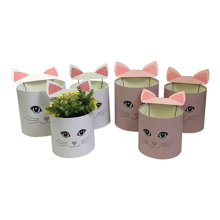 Juego de 3 Cubos Redondos con Diseño de Gato para Flores | EN STOCK | Para Mayoristas
