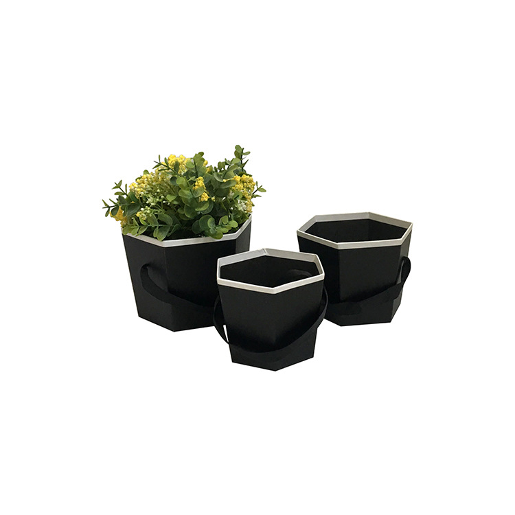 Juego de 3 Cubetas Hexagonales Pequeñas con Asa | Diseño Moderno | Para Mayoristas