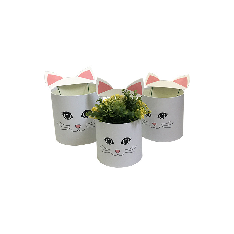 Juego de 3 Cubos Redondos con Diseño de Gato para Flores | EN STOCK | Para Mayoristas